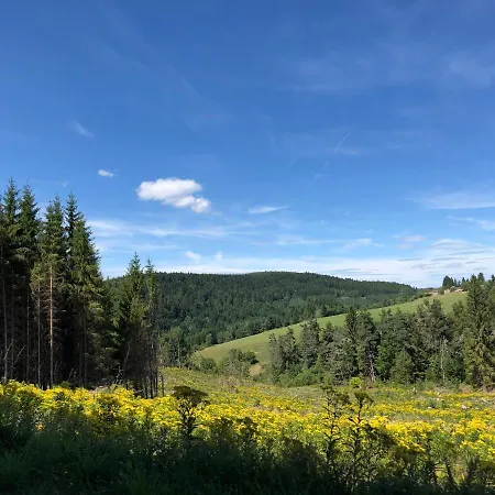 Large 100 Year Old House In Lovely Walking Area Holiday home
