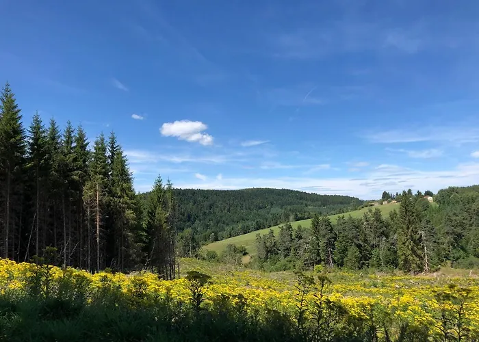 Large 100 Year Old House In Lovely Walking Area Casa vacanze